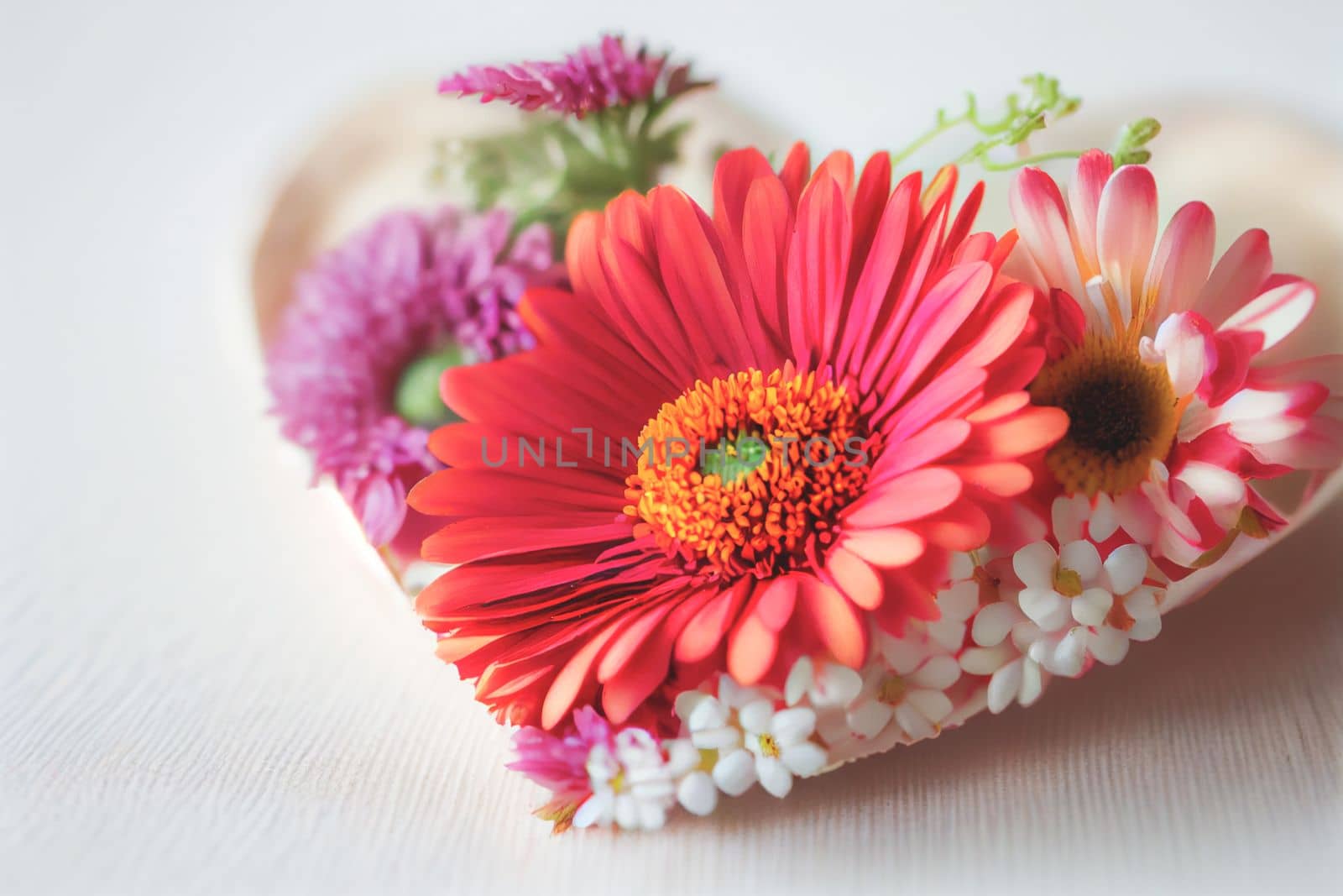 Close up shot of fresh flowers for Valentine's Day background with copy space. Gift ideas for Valentine. by FokasuArt