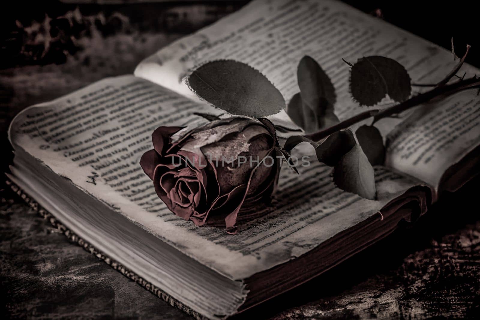 A dried red rose placed upon an old book conjures memories of a past romance. 3D illustration