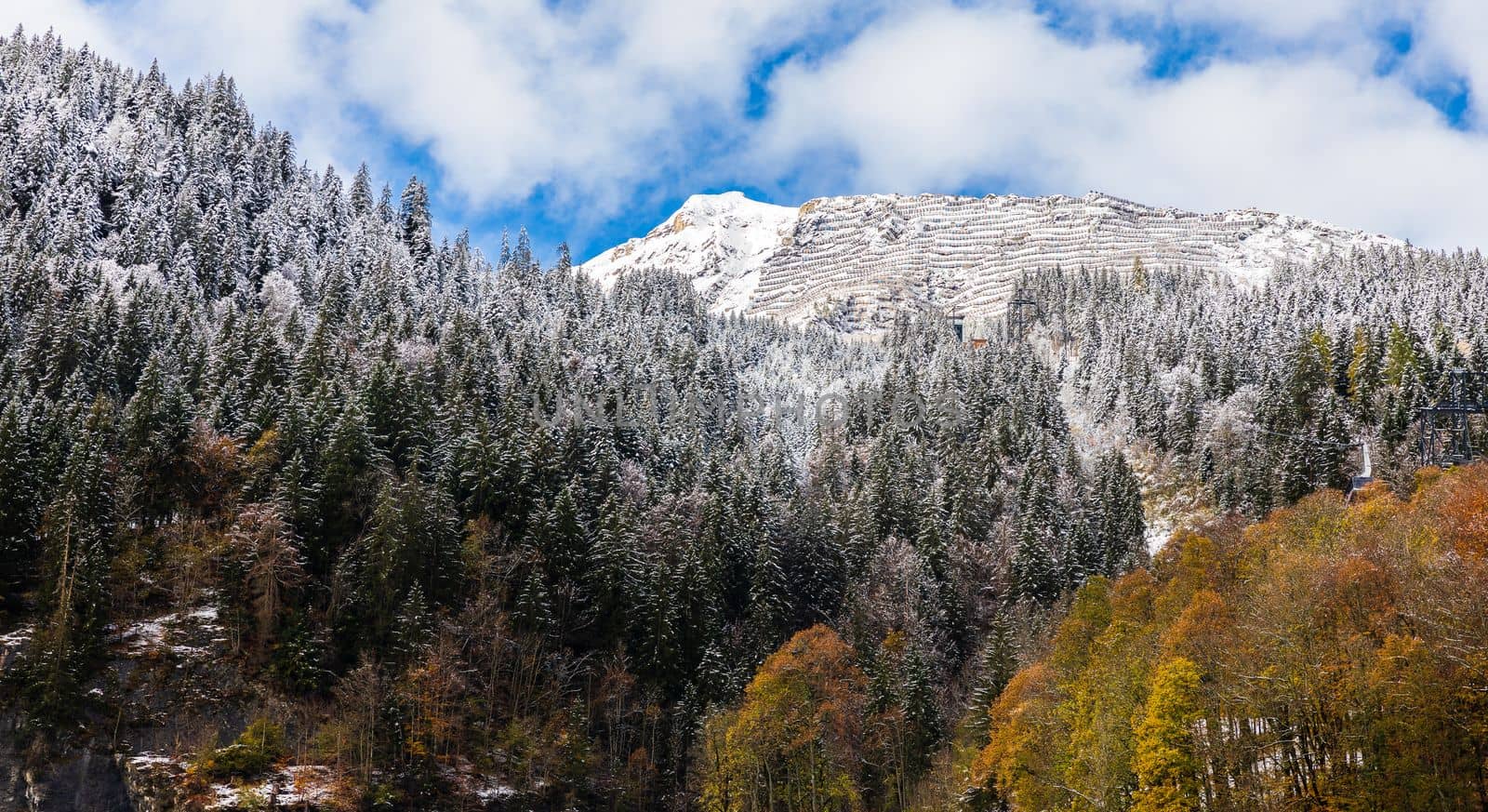 Snow covered the mountain after the blizzard during autumn in Switzerland. The trees changing color from green to orange.