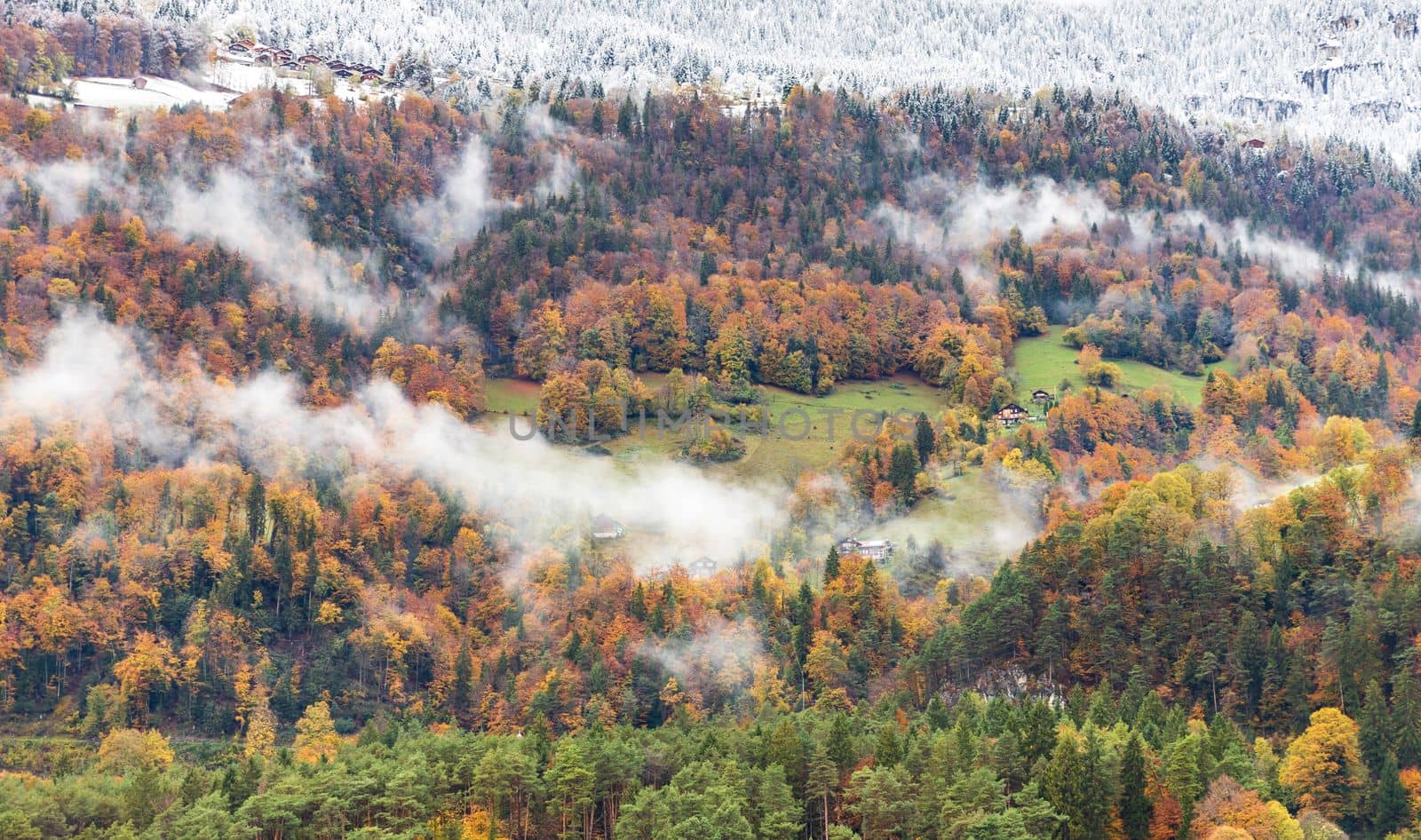 Snow and clouds covered the mountain beside Thun lake in autumn. The trees changing color from green to orange in Interlaken, Switzerland.