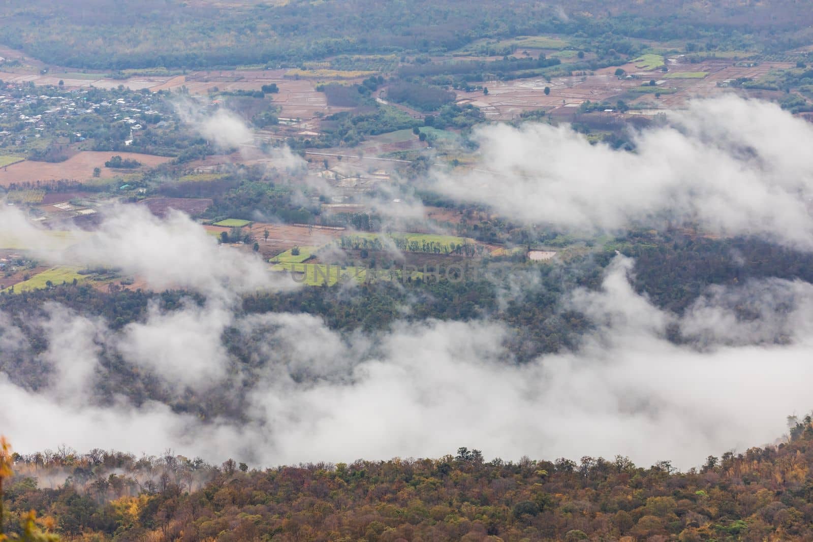 Aerial view of tropical forest and agriculture landscape covered by clouds after rainfall.