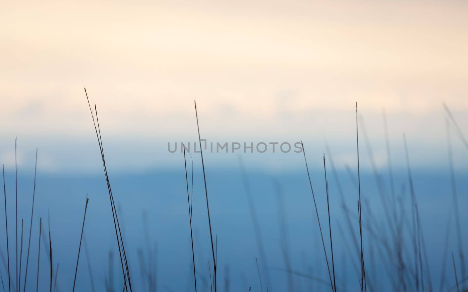 Soft focus on grass with blurry background of blue mountain and orange sky.