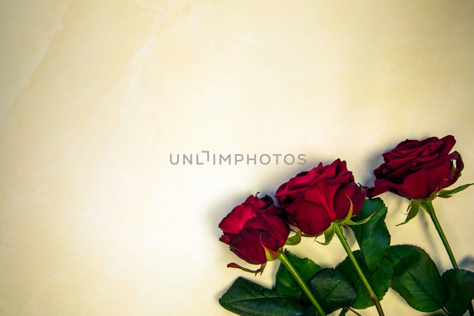 Flowers composition. Frame made of rose flowers and red heart on yellow background. Valentine's Day Mother's Day romantic background. Flat lay, top view, copy space.