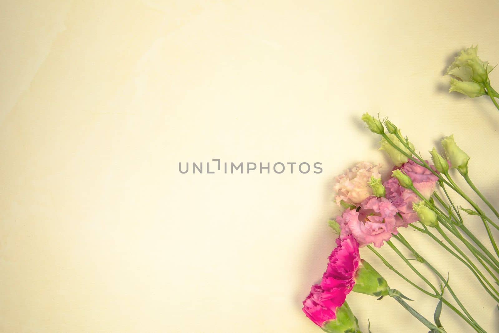 floral layout from different fresh spring wildflowers on a yellow background. Beautiful light reflections. Top view. wildflowers flat lay copy space, spring, summer nature concept by Annebel146