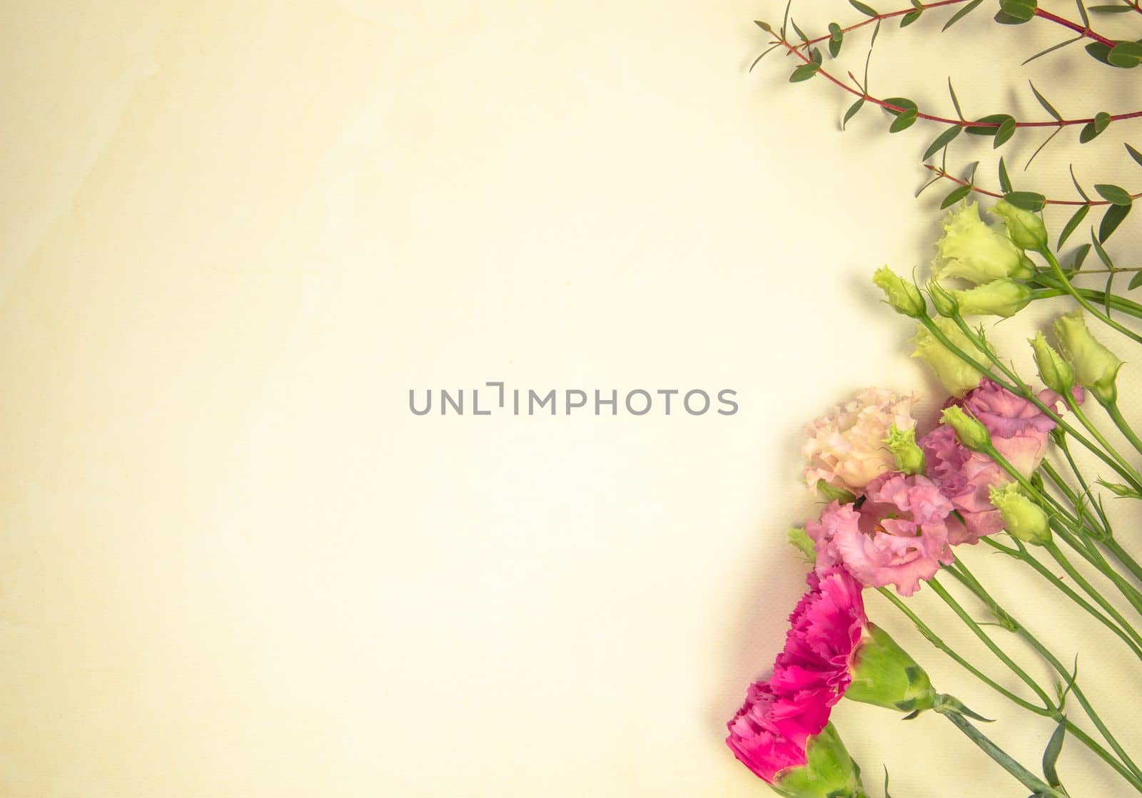 floral layout from different fresh spring wildflowers on a yellow background. Beautiful light reflections. Top view. wildflowers flat lay copy space, spring, summer nature concept by Annebel146