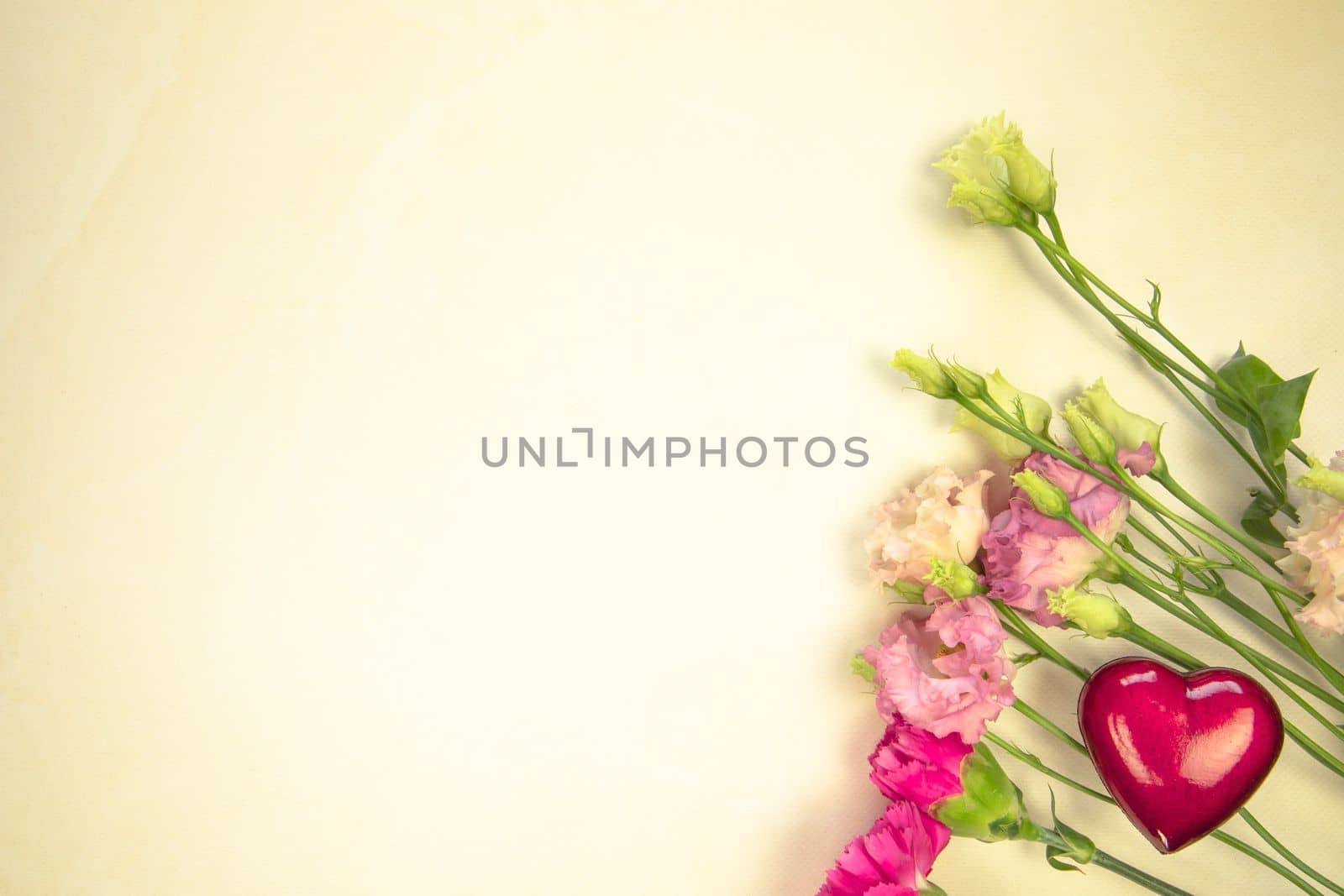 floral layout from different fresh spring wildflowers on a yellow background. Beautiful light reflections. Top view. wildflowers flat lay copy space, spring, summer nature concept design