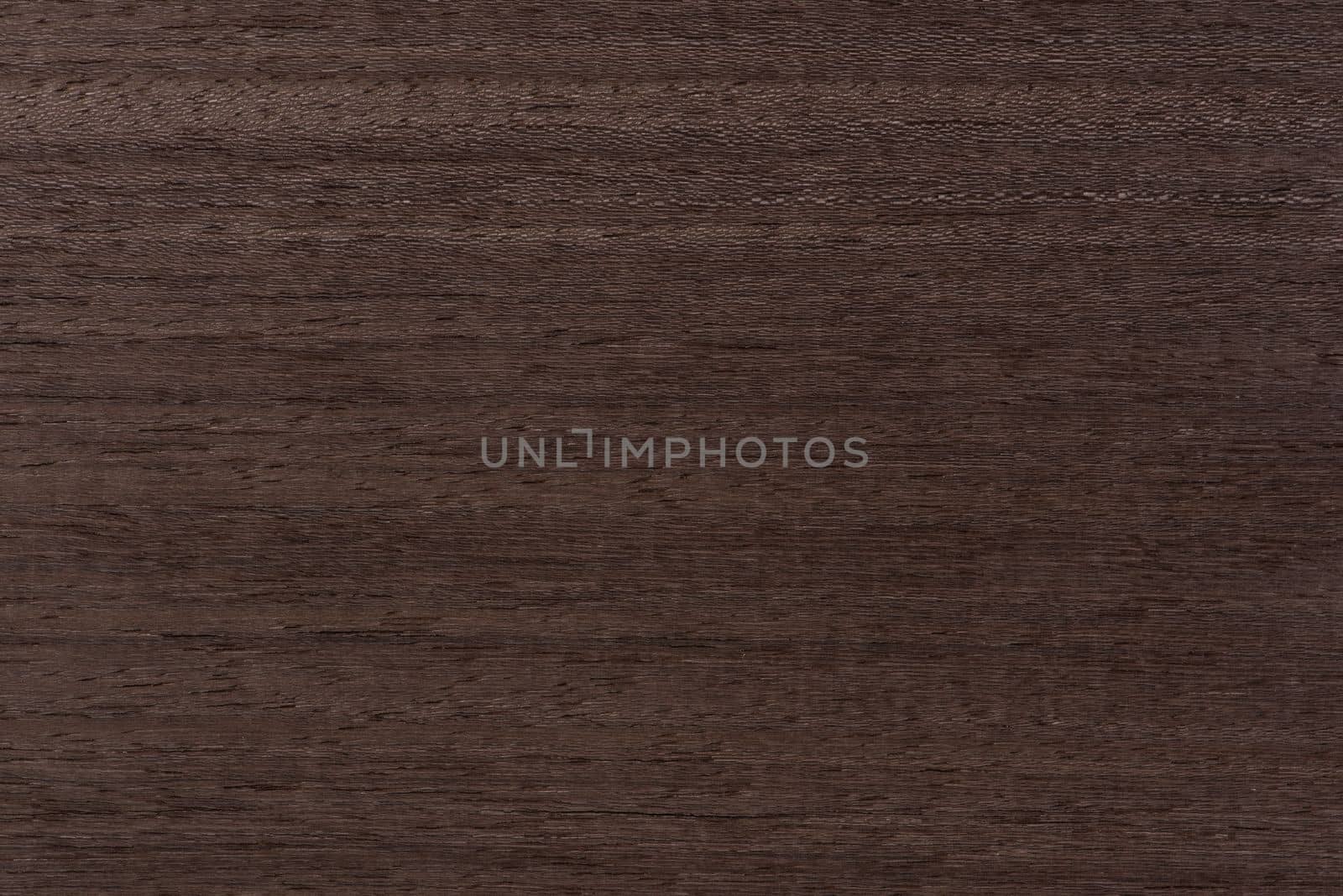 Texture of mahogany. Texture of koto wood with a reddish brown tint. Exotic rare wood from Africa for the production of expensive furniture or interior elements.