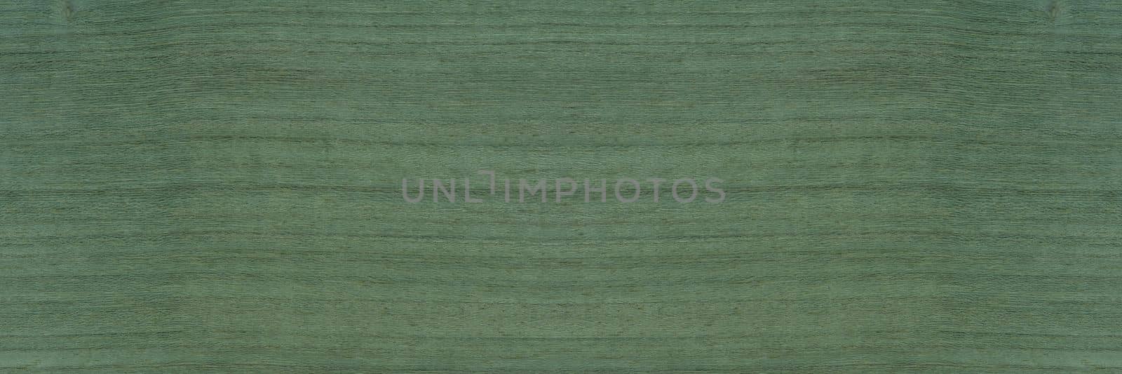 Texture of green wood. The texture of koto wood with a greenish tint. Exotic rare wood from Africa for the production of expensive furniture or interior elements.