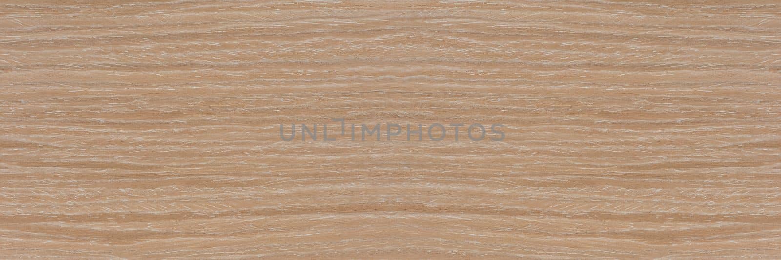 Texture of oak. Texture of natural solid wood. Oak board with a white tint, bleached wood for the production of furniture, floors or doors