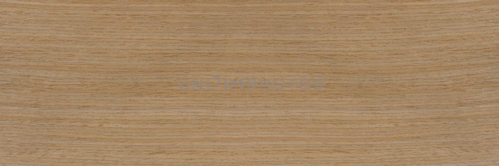 Wood texture. Natural maple texture. Maple board for furniture production. Untreated young maple board with fine texture in light color by SERSOL