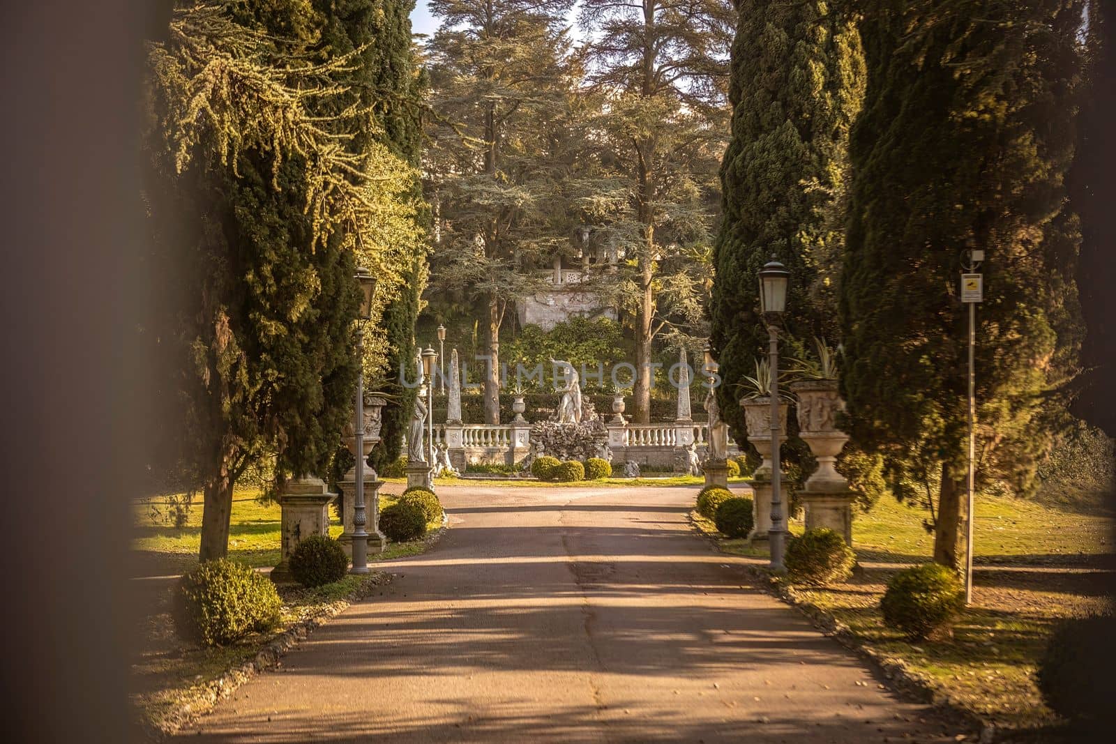 Luxurious ancient villa on tree-lined avenue by pippocarlot