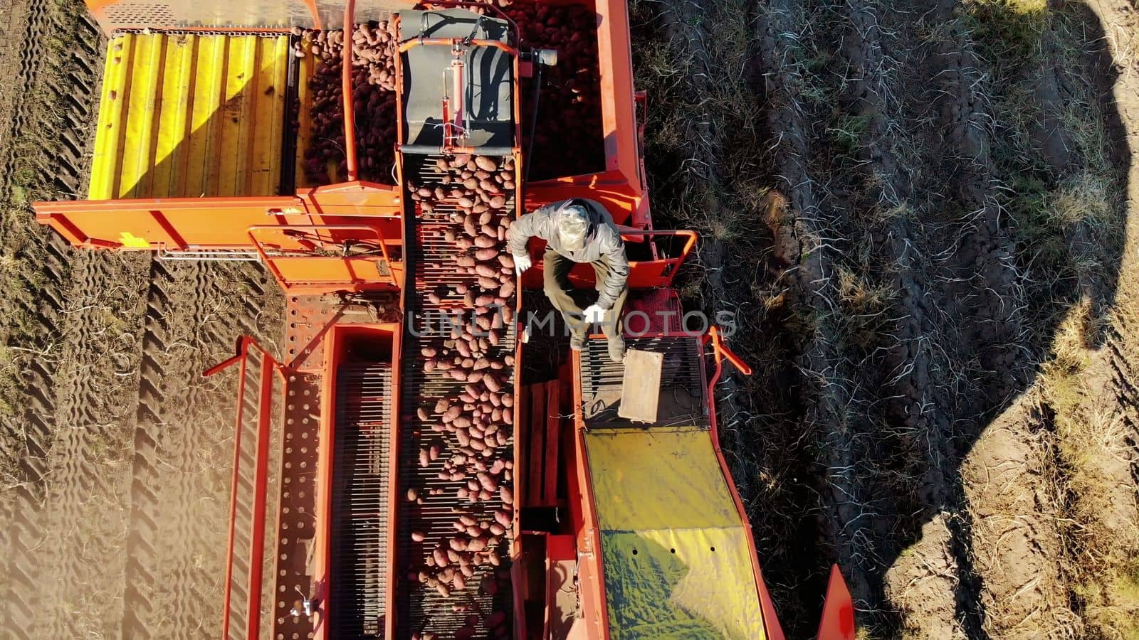 aero top view. Farm machinery Harvesting fresh organic potatoes in an agricultural field. coupled with a tractor, Red colored potato harvester, digs up and gently places potatoes in special container. early autumn. High quality photo