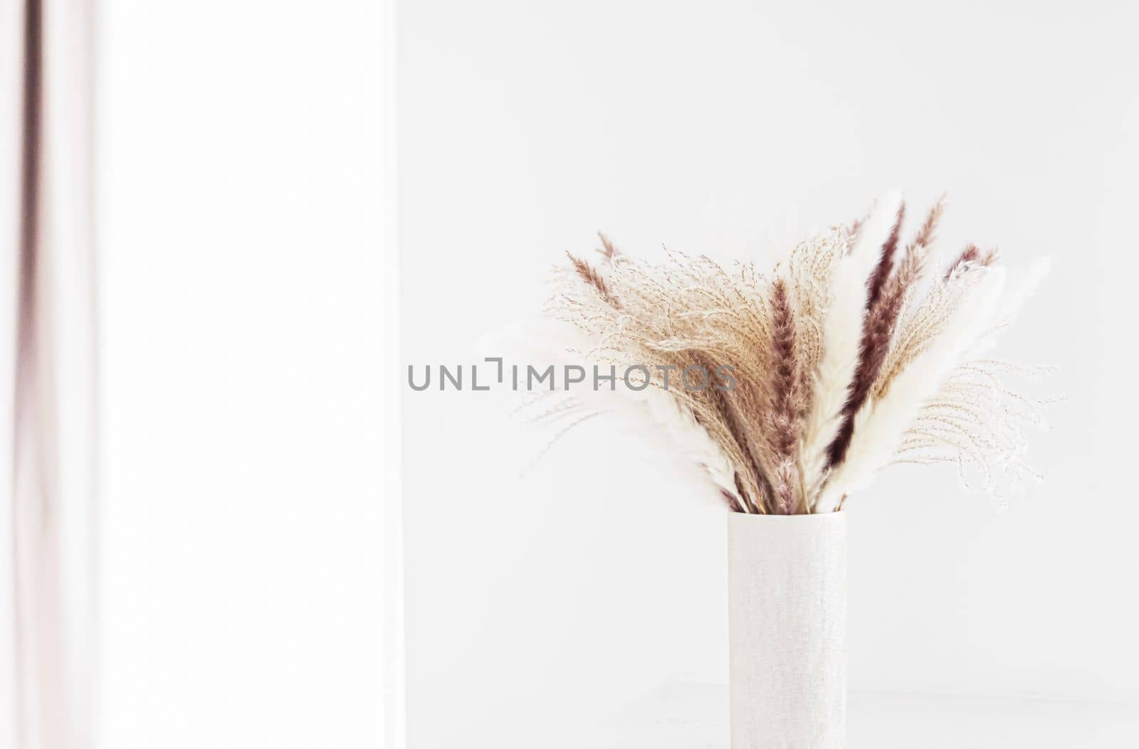Neutral dry plants in vase and wall with copyspace, home decor and interior design by Anneleven