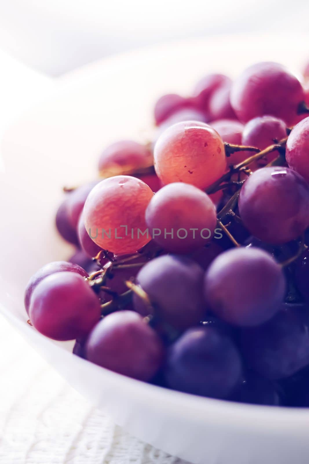 Food and agriculture, ripe dark grapes from organic fruit garden.