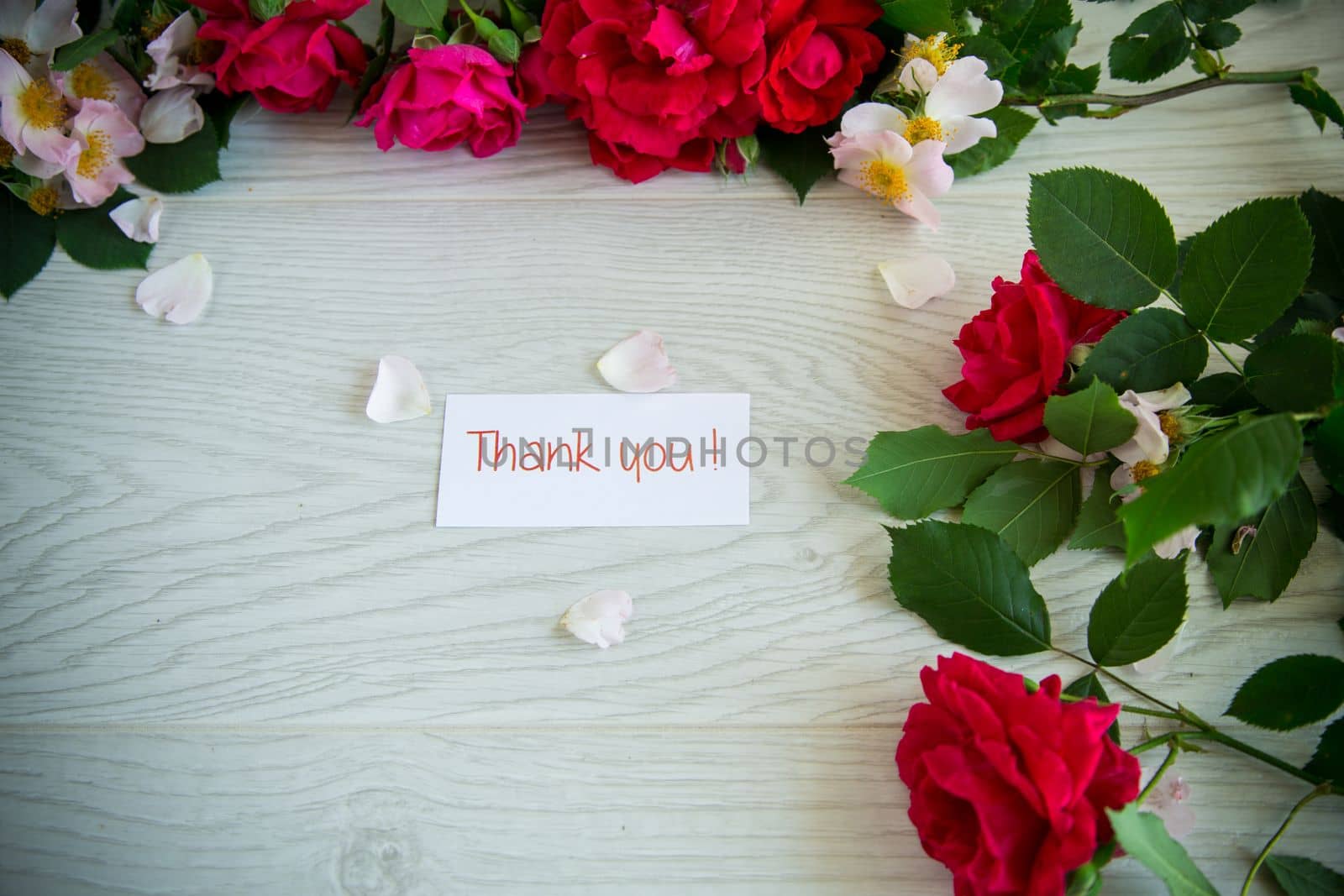 background of many red roses on a light wooden by Rawlik