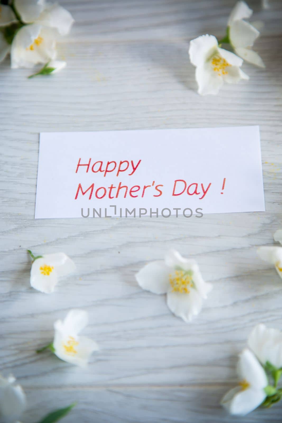 Wooden background with blooming beautiful white jasmine and congratulations for mother.