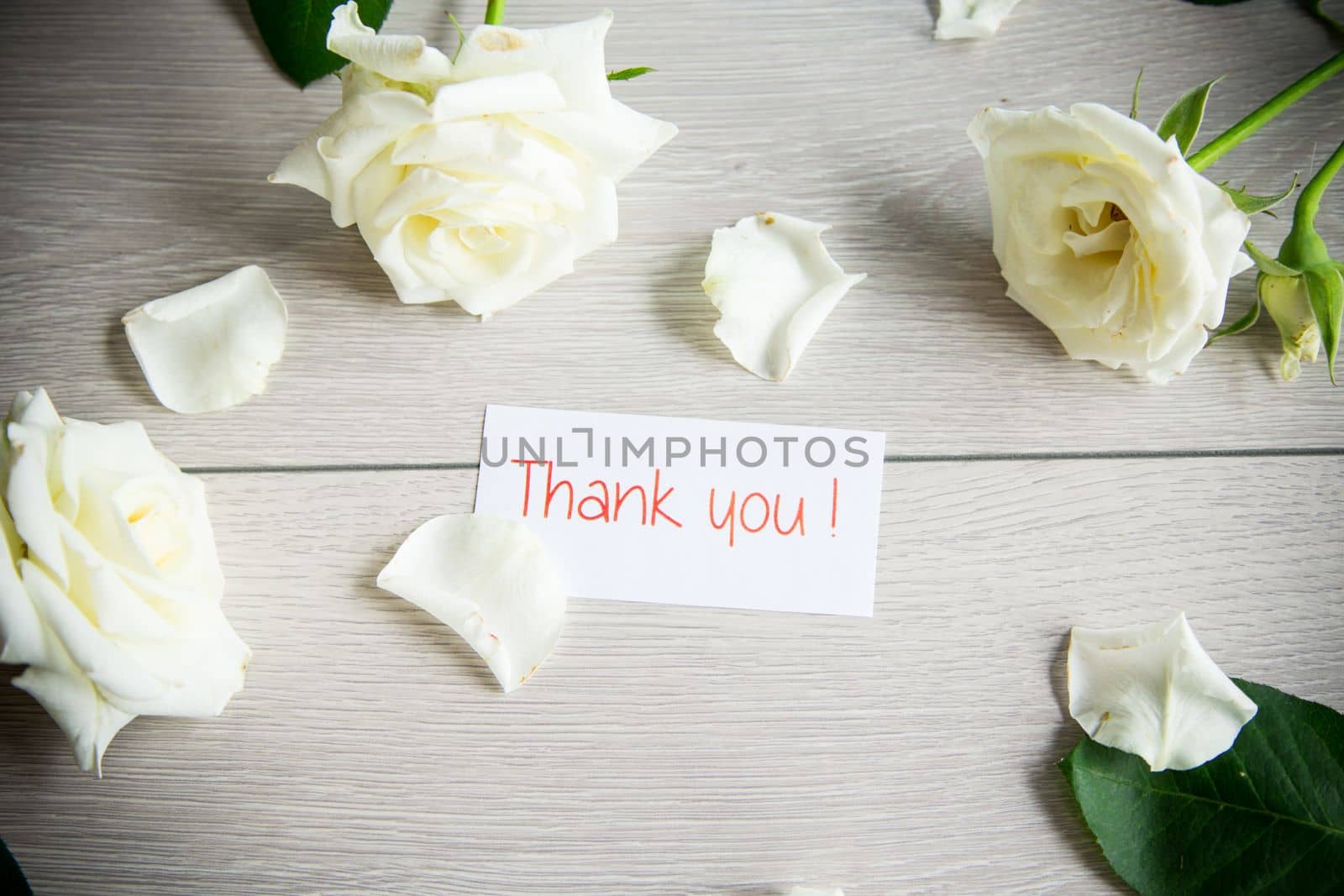 beautiful background of many white roses on a light wooden