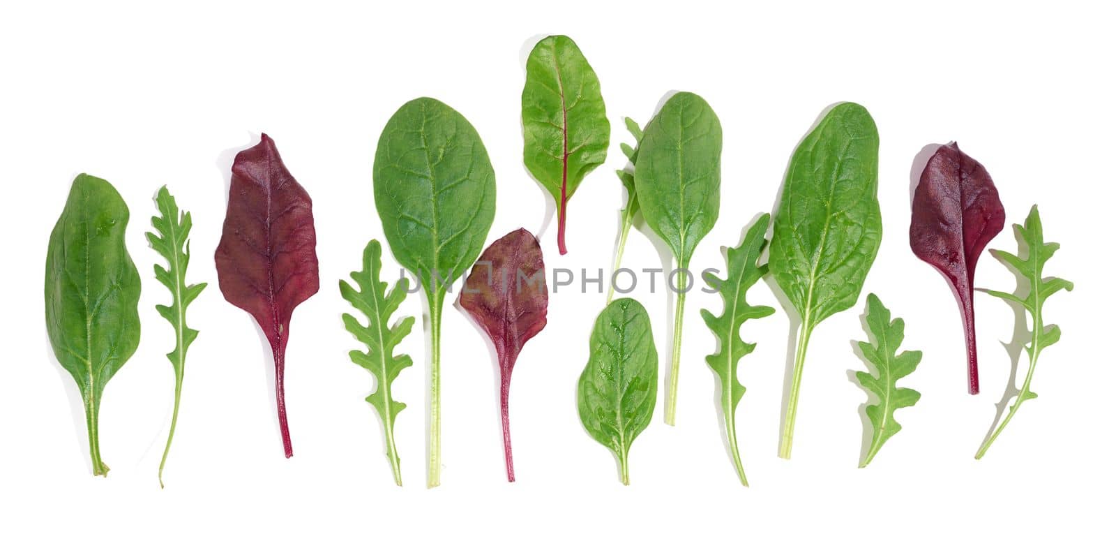 Fresh green leaves of arugula, spinach, chard on a white isolated background. Salad mix by ndanko