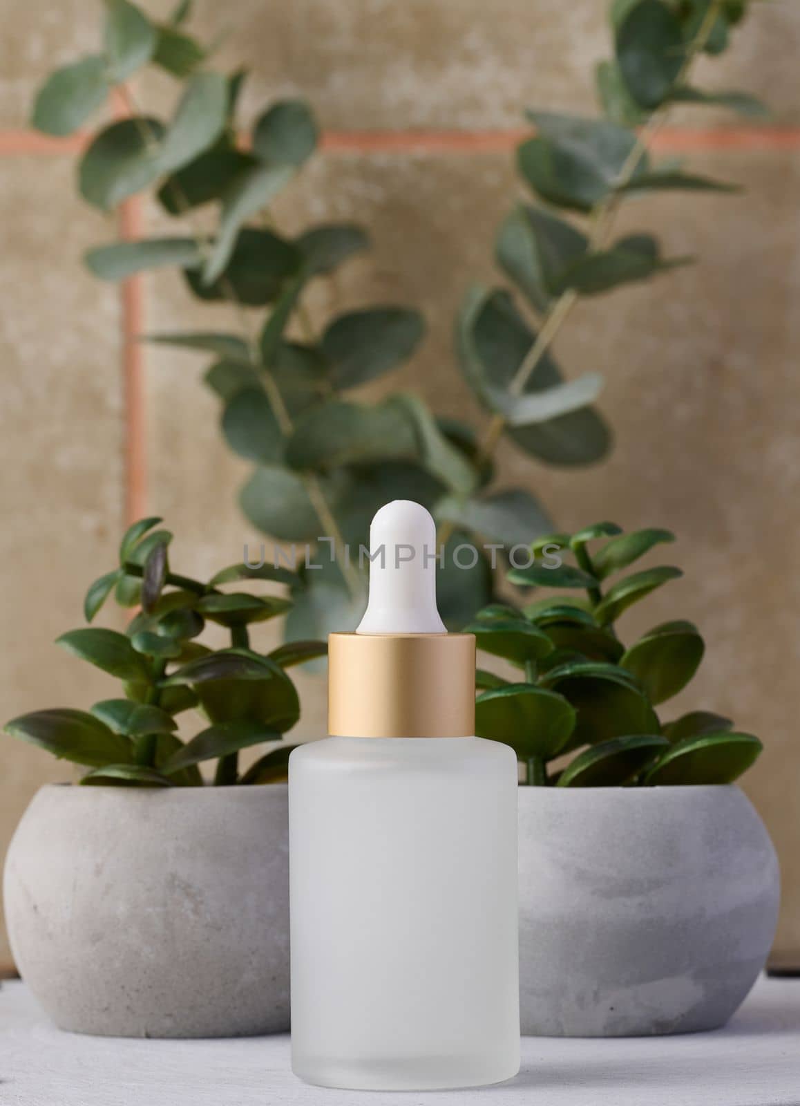 Transparent glass bottle with a pipette, next to a branch of eucalyptus. Cosmetics