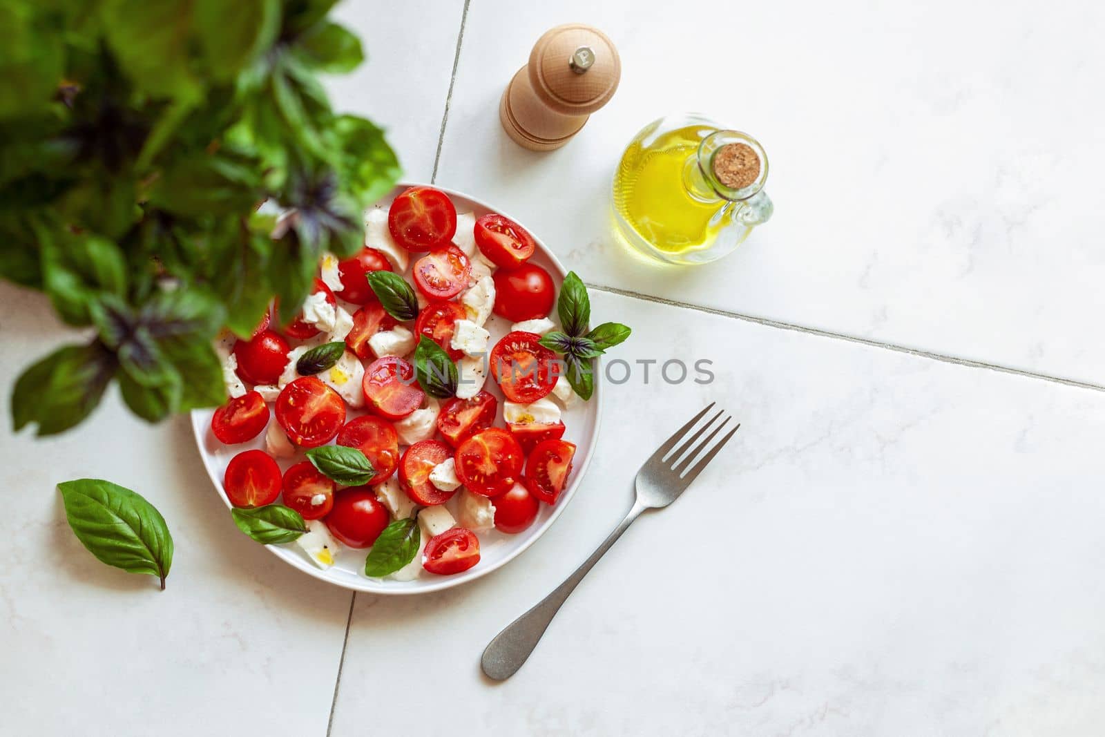 portion of caprese salad under the basil plant, top view, copyspace, selective focus