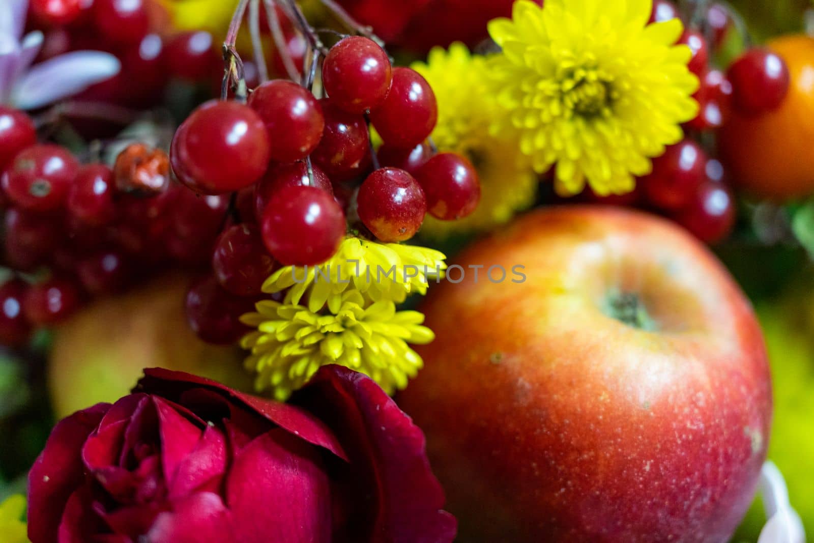 Still life consisting of apples, red viburnum, and yellow flowers close-up by Serhii_Voroshchuk