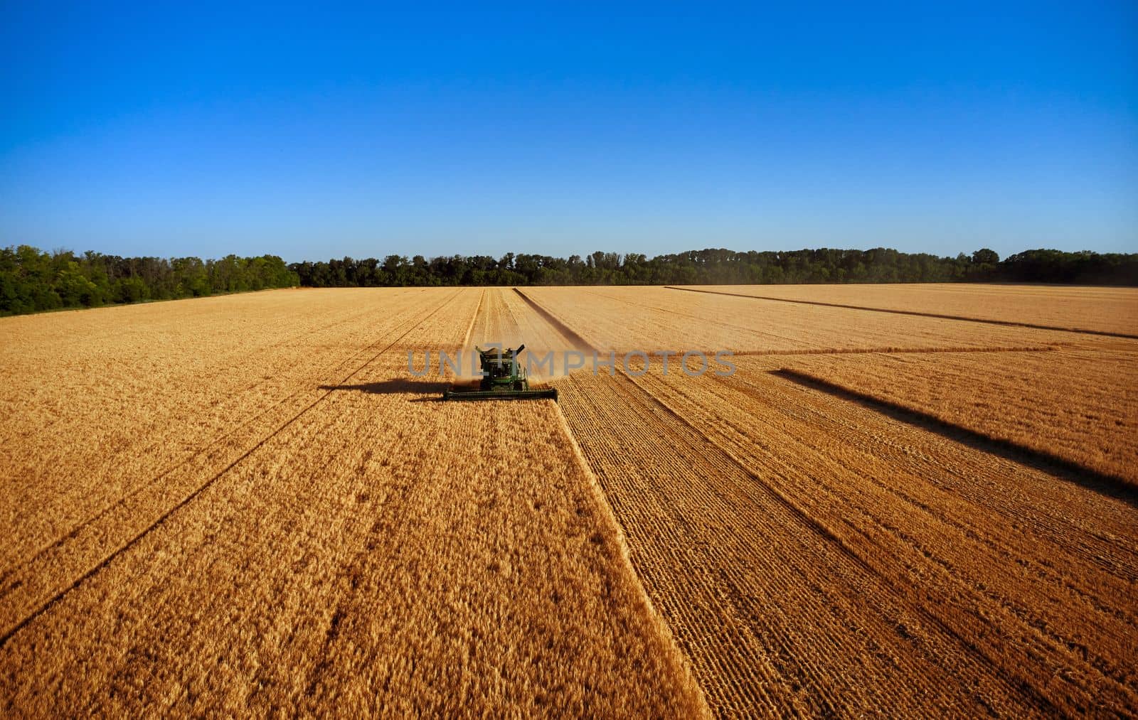 Harvester works in the field. Combine Harvesting Wheat, top view of a wheatfield. Field field of cereals during harvesting.