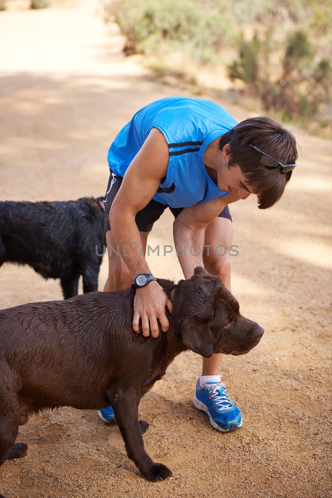 Dogs need their exercise too. a young man exercising outdoors with his dogs. by YuriArcurs