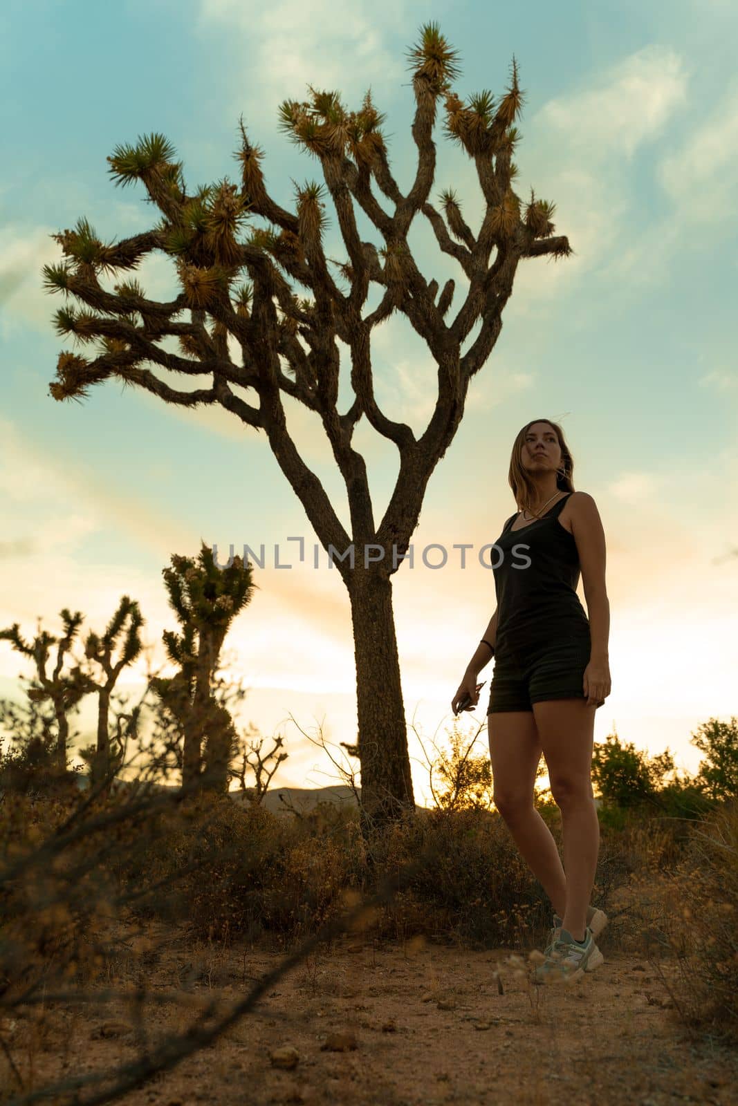 Woman silhouette in Joshua Tree National Park in a summer day with sun backlight by PaulCarr