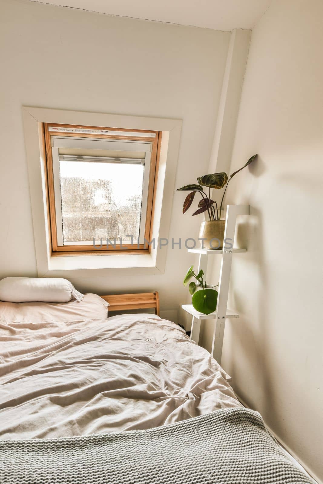 a bed in the corner of a room with a window above it and a plant on top of the bed