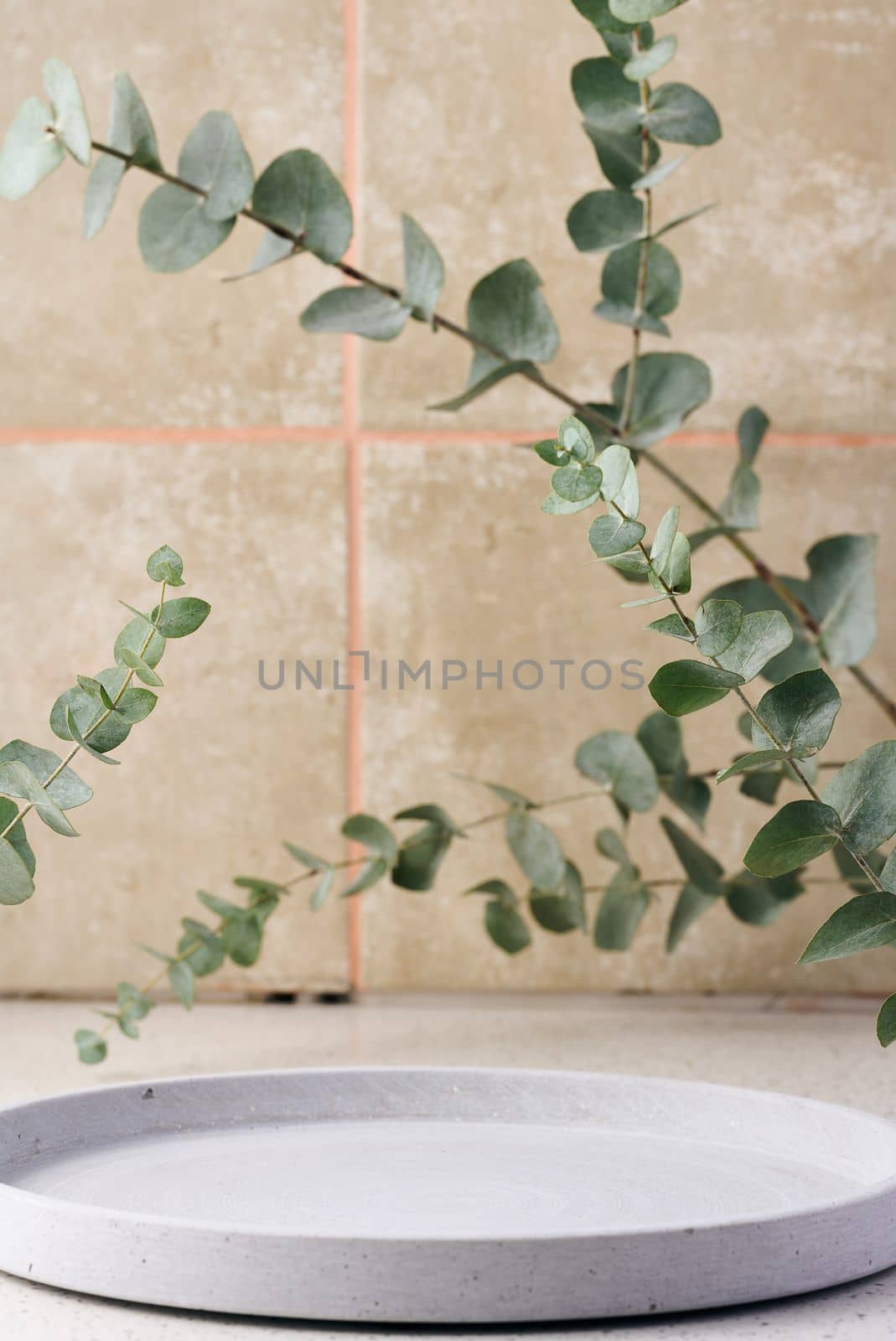 Empty cement decorative stand and eucalyptus branches on the table, background for showcasing cosmetics and products. by ndanko