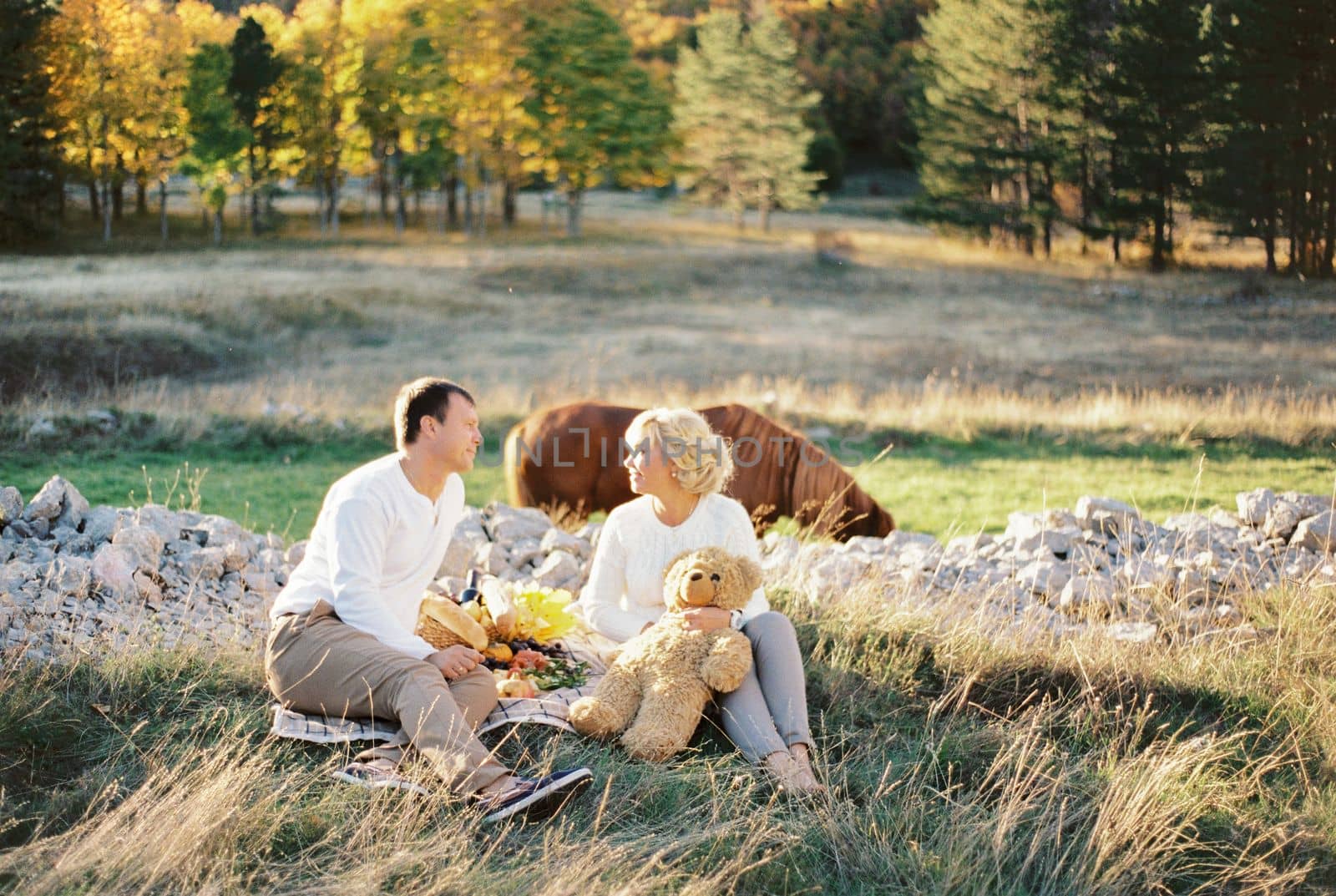 Man and woman are sitting on a blanket on the lawn near a grazing horse. High quality photo