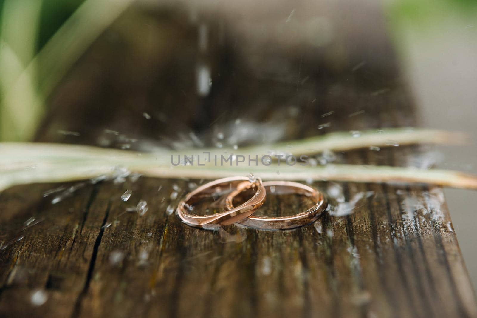 Close-up of two gold wedding rings for a wedding.