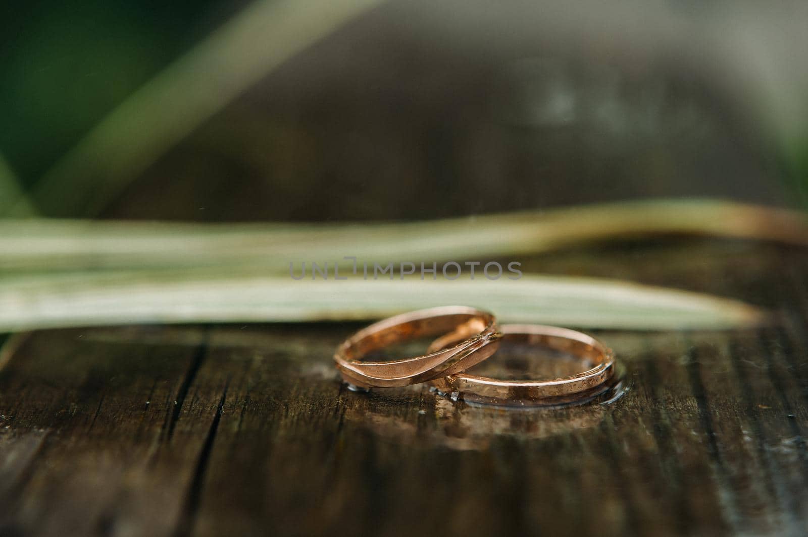 Close-up of two gold wedding rings for a wedding.