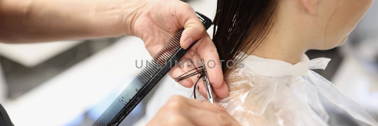 Hairdresser cuts cut ends of hair in beauty salon. Wet hair and hair care