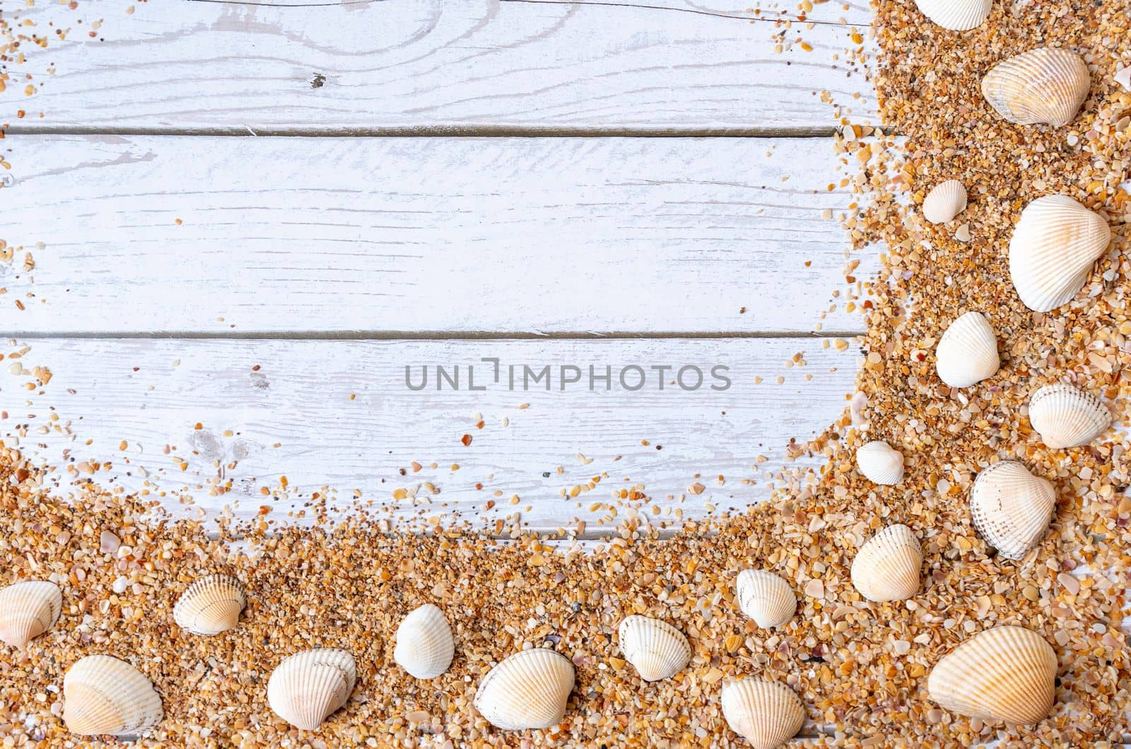 Sand seashells background. Summer time concept with sea shells and starfish on wooden background and sand.