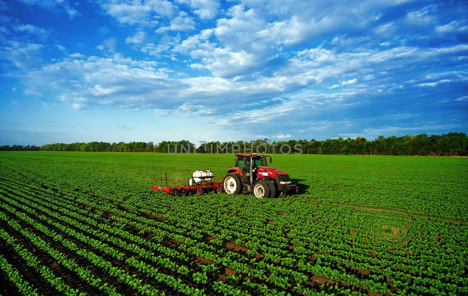 Tractor sprays the field with chemicals to protect the plants. Treatment of agricultural crops against pests. Plant protection for a good harvest. 07.07.22, Rostov region, Russia.
