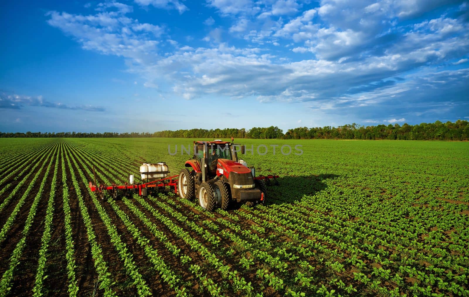 Tractor sprays the field with chemicals to protect the plants. Treatment of agricultural crops against pests. Plant protection for a good harvest. 07.07.22, Rostov region, Russia.