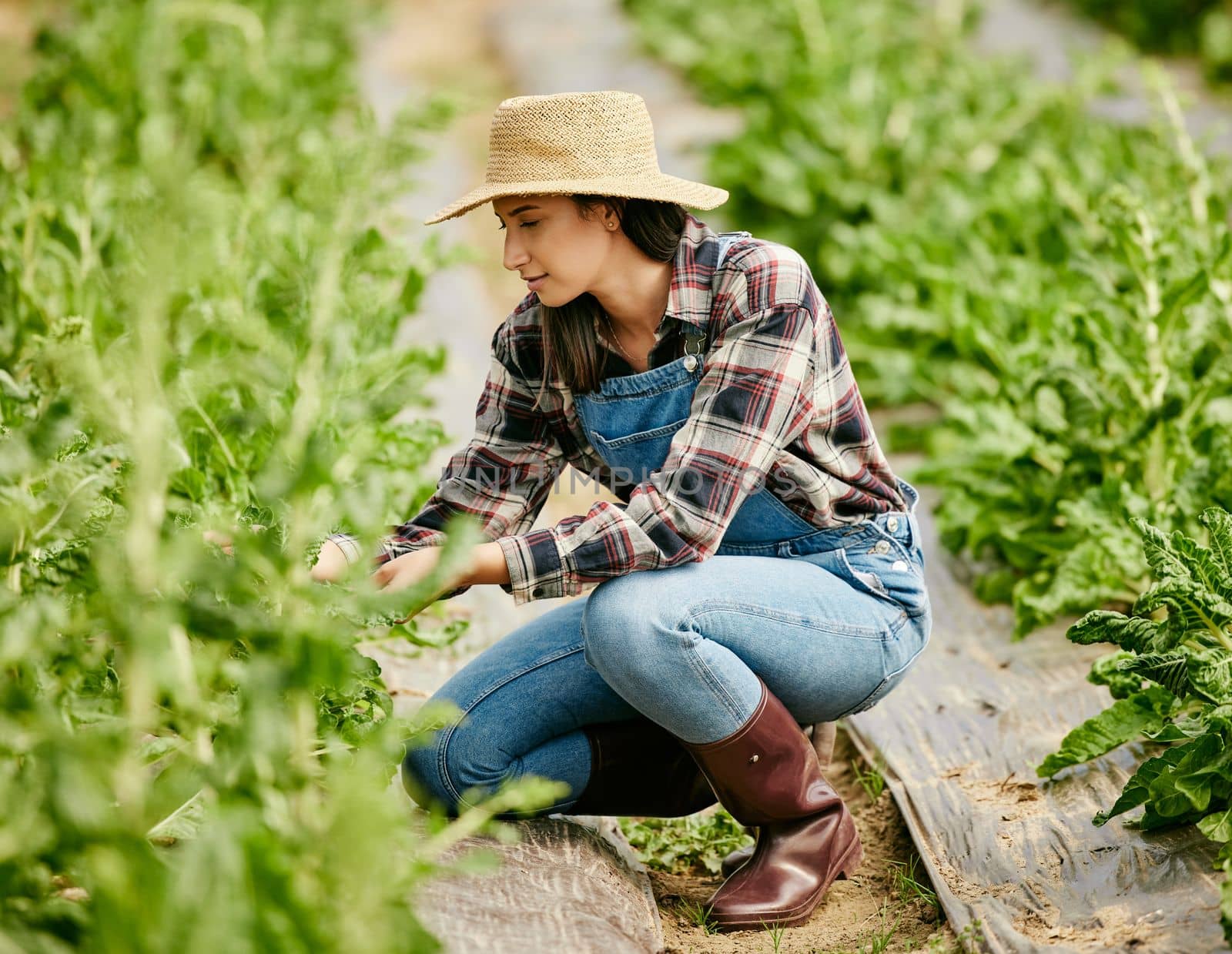 Live my babies live. a young female farmer checking in on her produce. by YuriArcurs