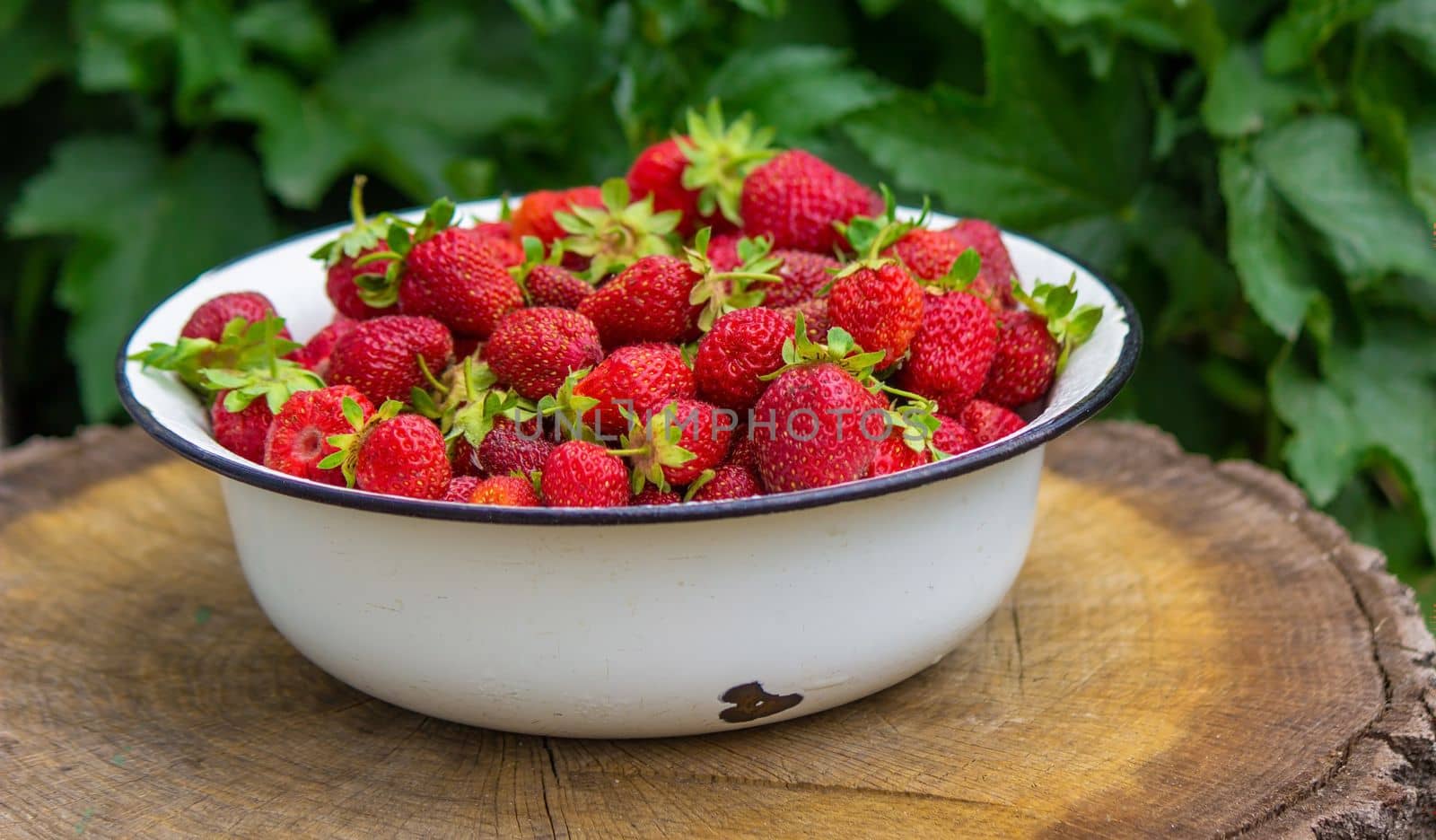 farm-fresh strawberries in a bowl. Selective focus