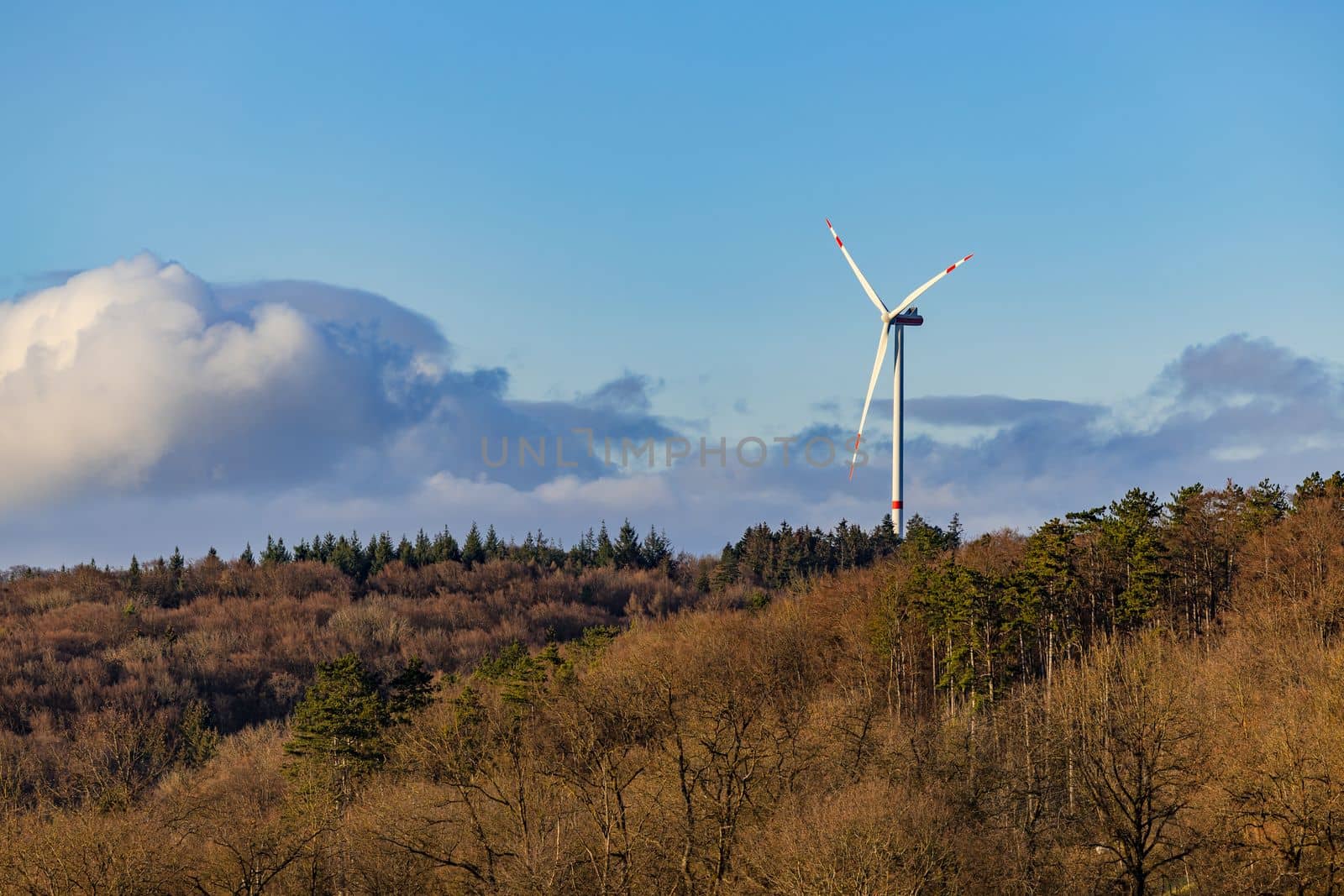 Forests and trees in front of a big windrrad for renewable energy production, Hohenlohe, Germany