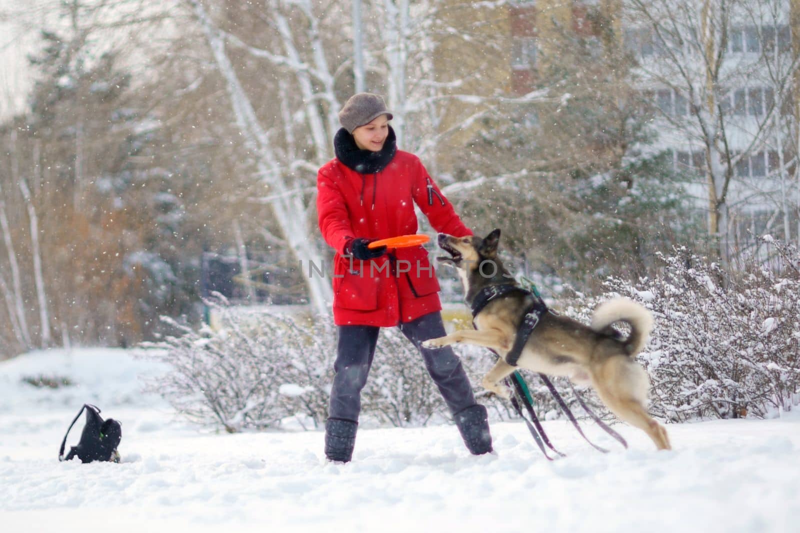 Girl playing with dog in snowy, enjoying the weather. Pet training. Selective focus