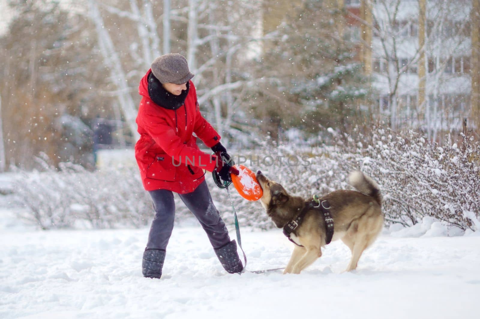 Girl with a young dog on a winter walk. Pet training. Selective focus