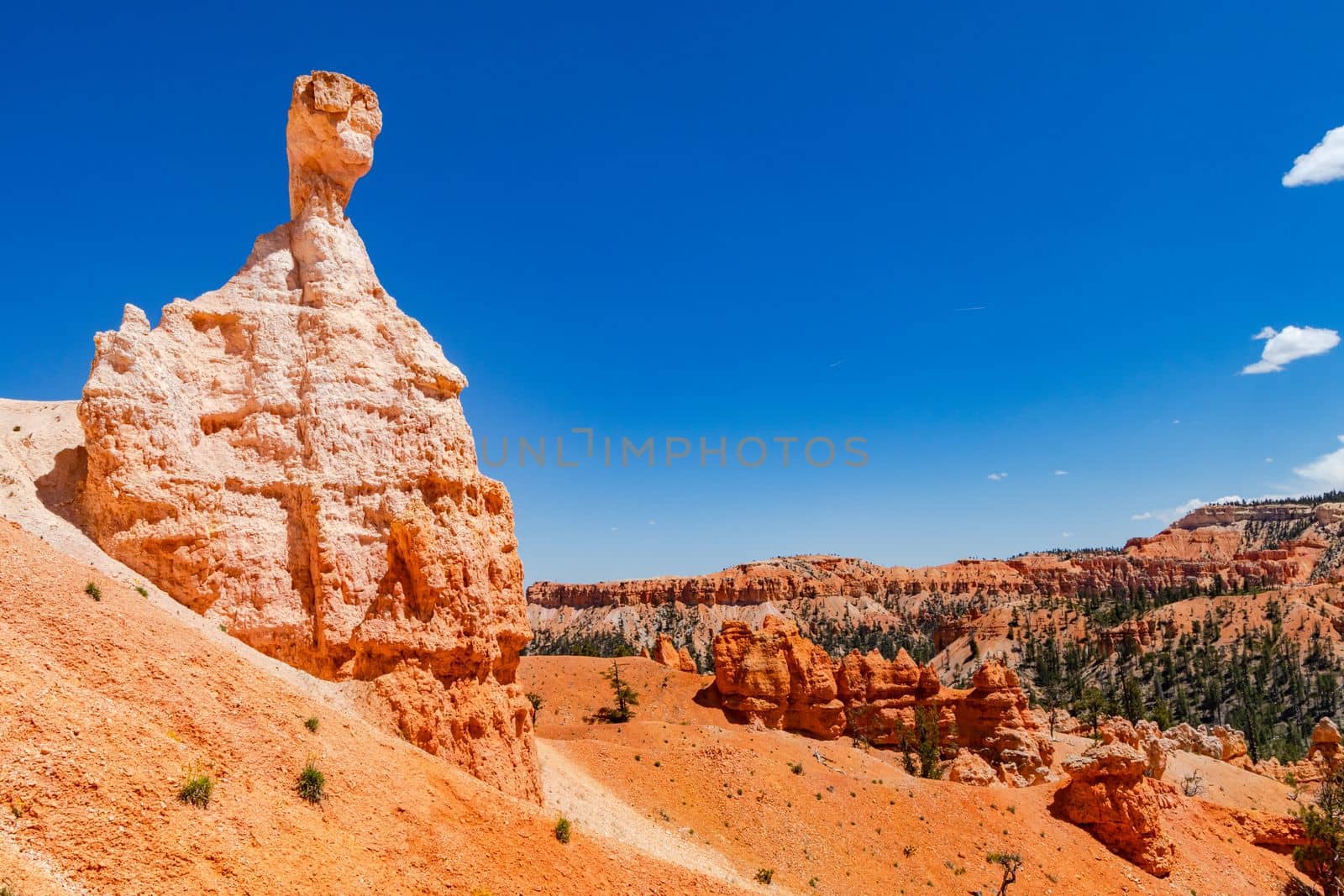Striking rock formation on the picturesque Queens Garden Trail in the worth seeing Bryce Canyon National Park, USA