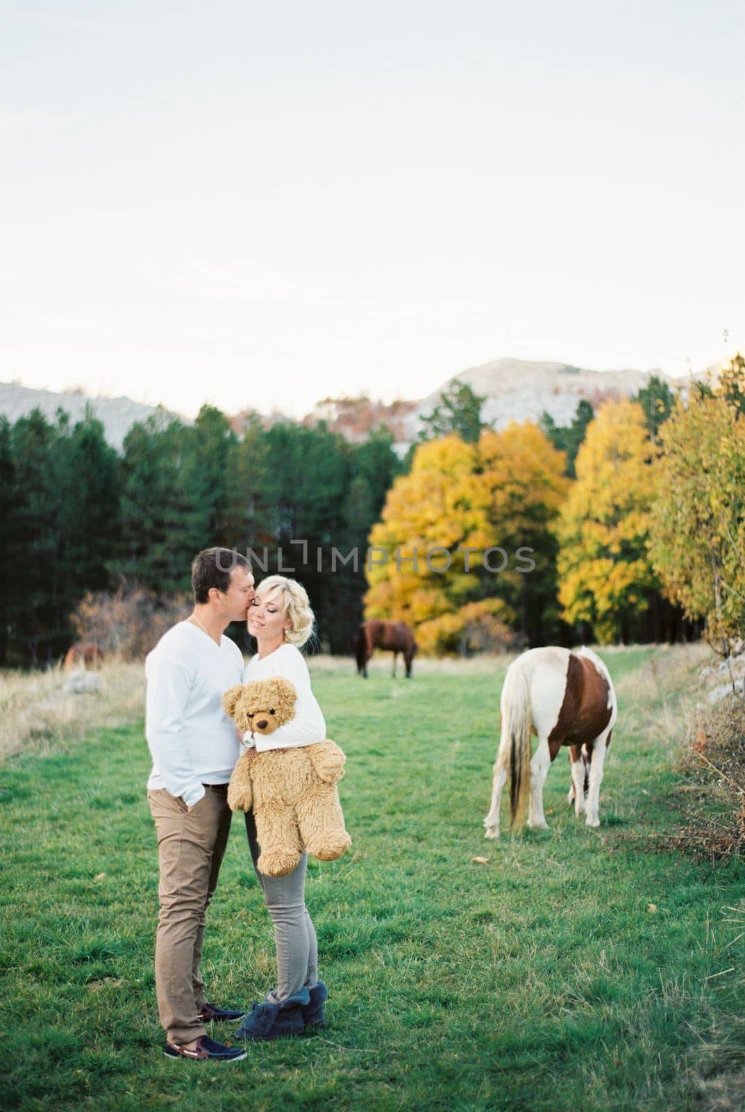Man kisses woman with a toy bear in her hands while standing on a green lawn. High quality photo