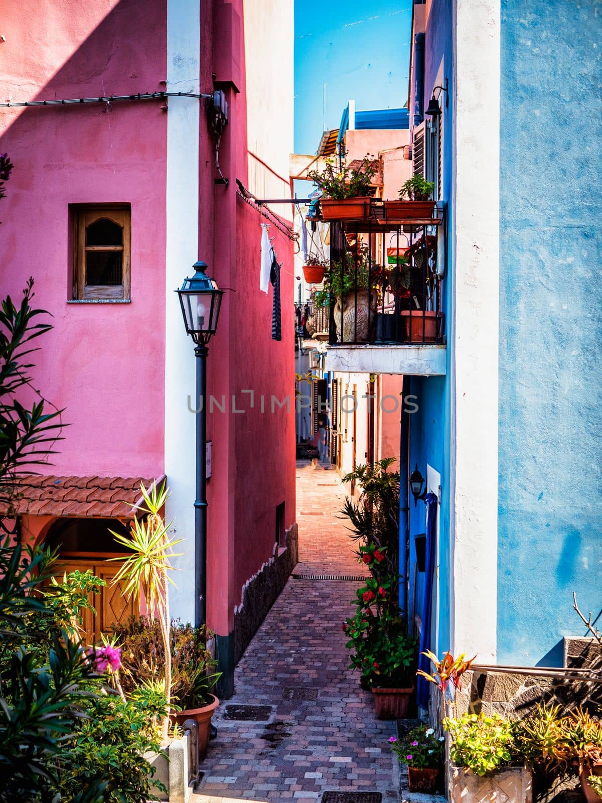 Narrow cobblestone walkway between blue and pink buildings with green potted plants on balcony and street in Italy