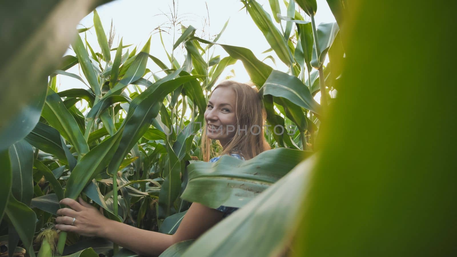 A girl walks through a corn field