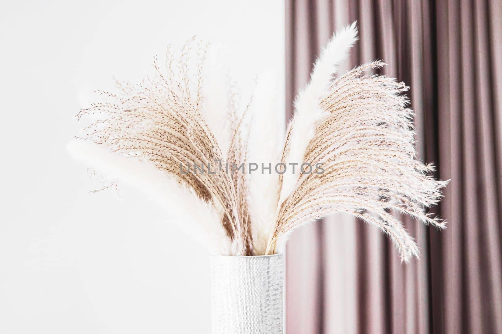 Neutral dry plants in vase and wall with copyspace, home decor and interior design by Anneleven