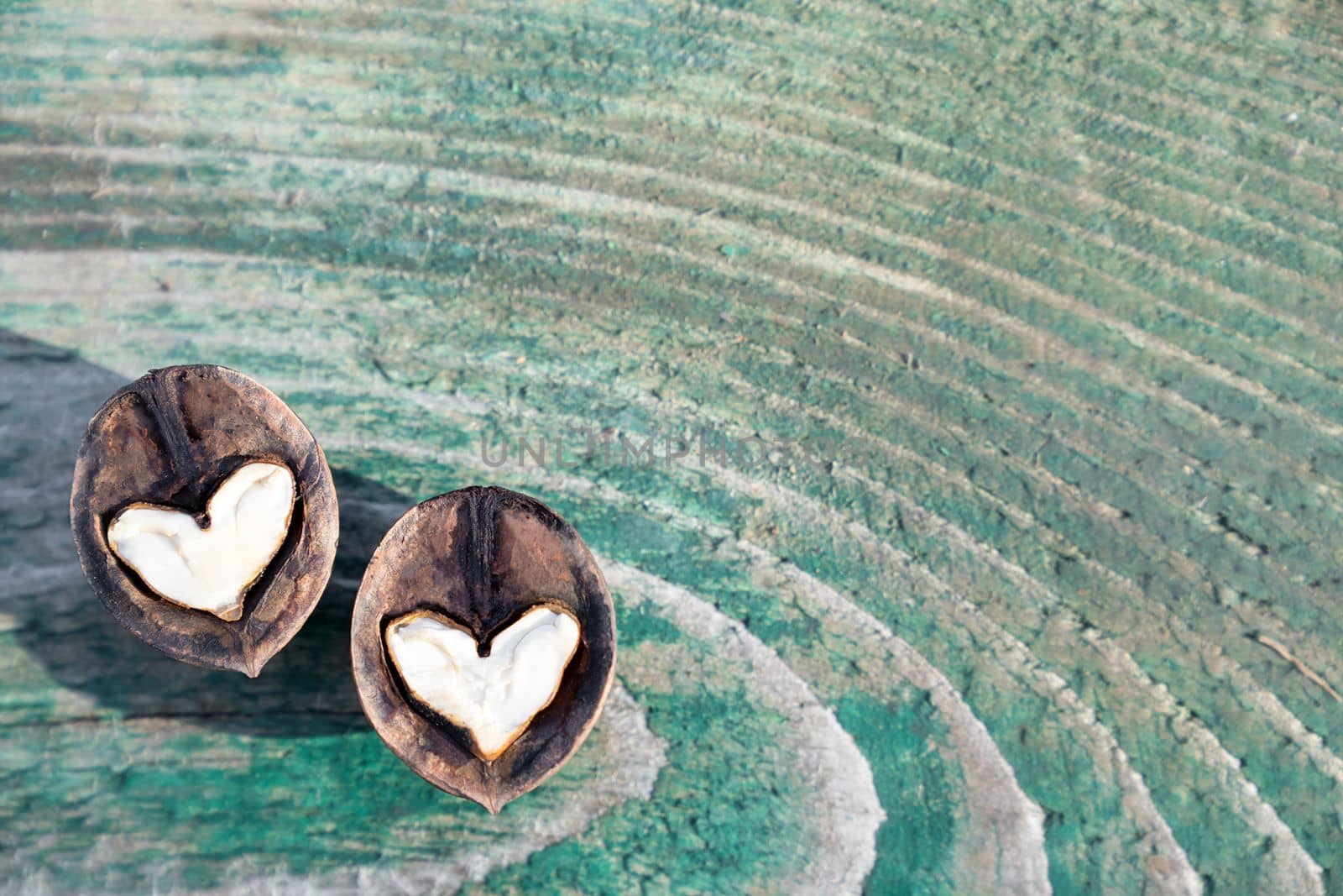 Two white hearts made of walnut halves on wooden background turquoise color, copy space by Laguna781