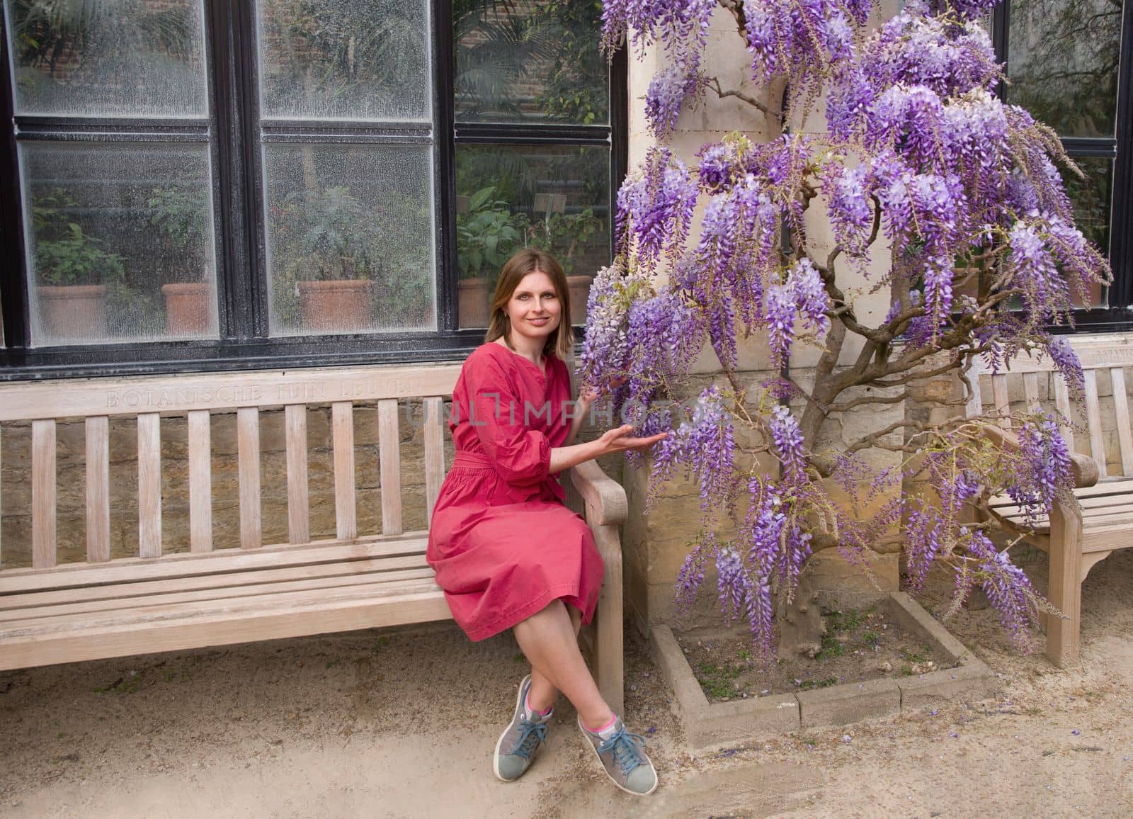 beautiful young woman in red dress sits on a bench in the thickets of blooming wisteria. High quality photo
