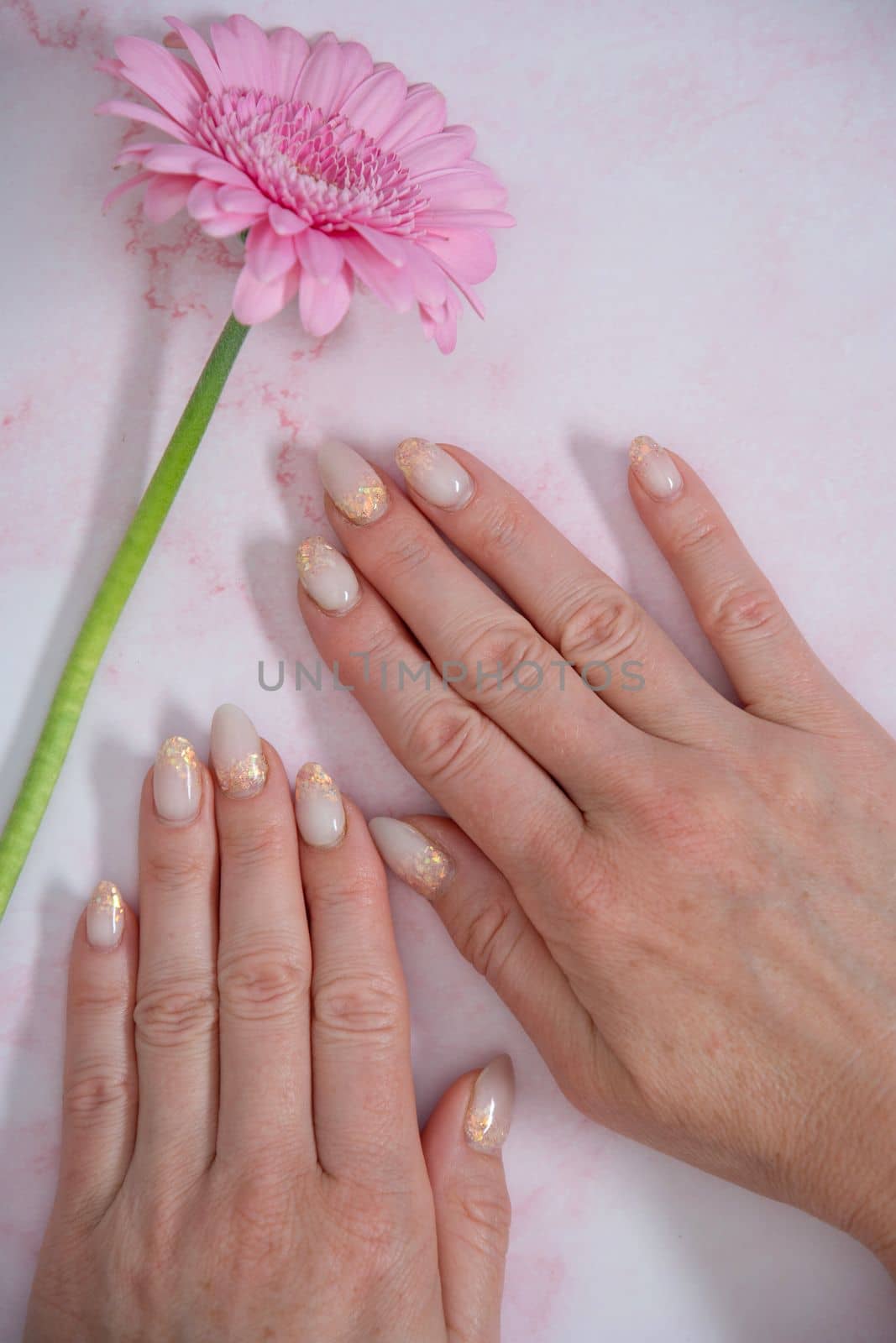 Hands of a woman with imperfect manicure with gel polish on a background of pink gerbera. High quality photo